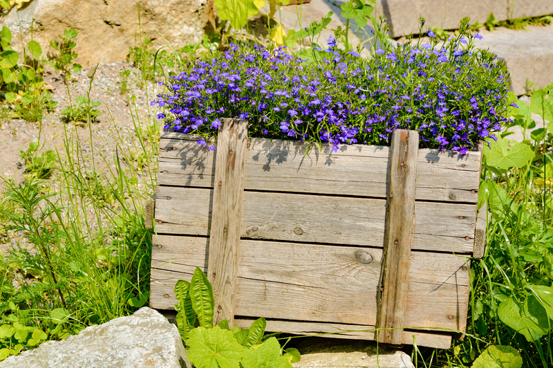 Smart Ways to Dispose of Packaging and Cardboard Responsibly
